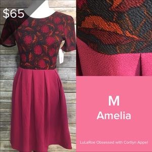 LuLaRoe Amelia Skater Dress with Pockets!